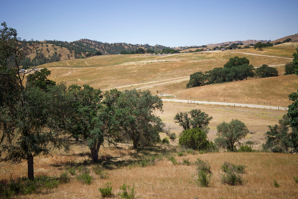 Cazttle Ranch Our Ranch – Ells Cattle Ranch